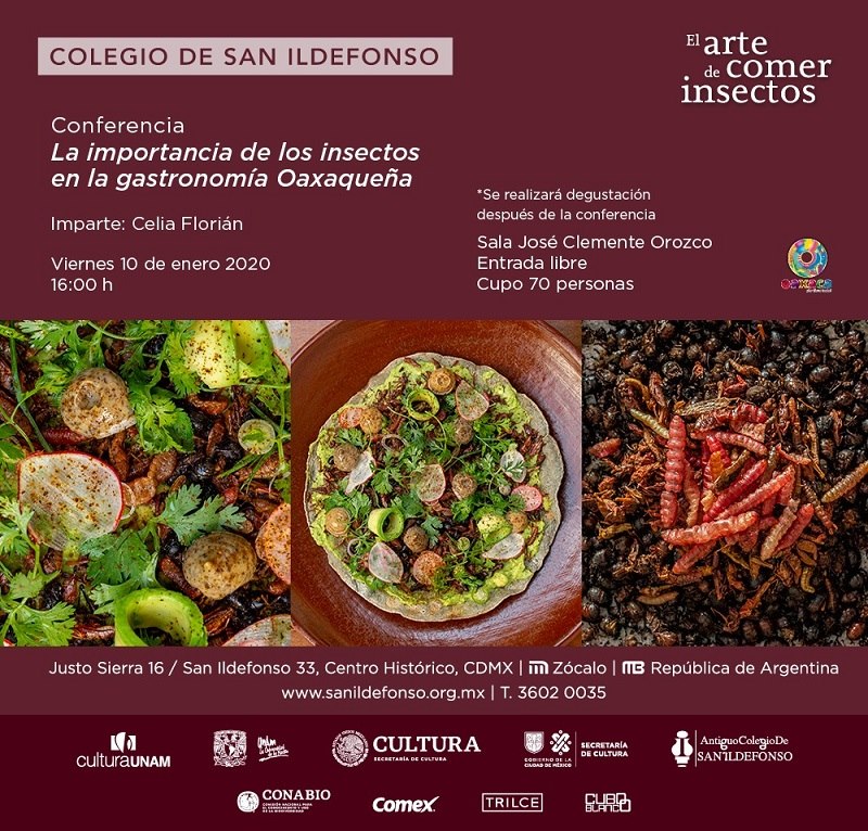 Oaxaca presente en la exposición “El Arte de Comer Insectos” – Coordinación  de Comunicación Social del Gobierno del Estado