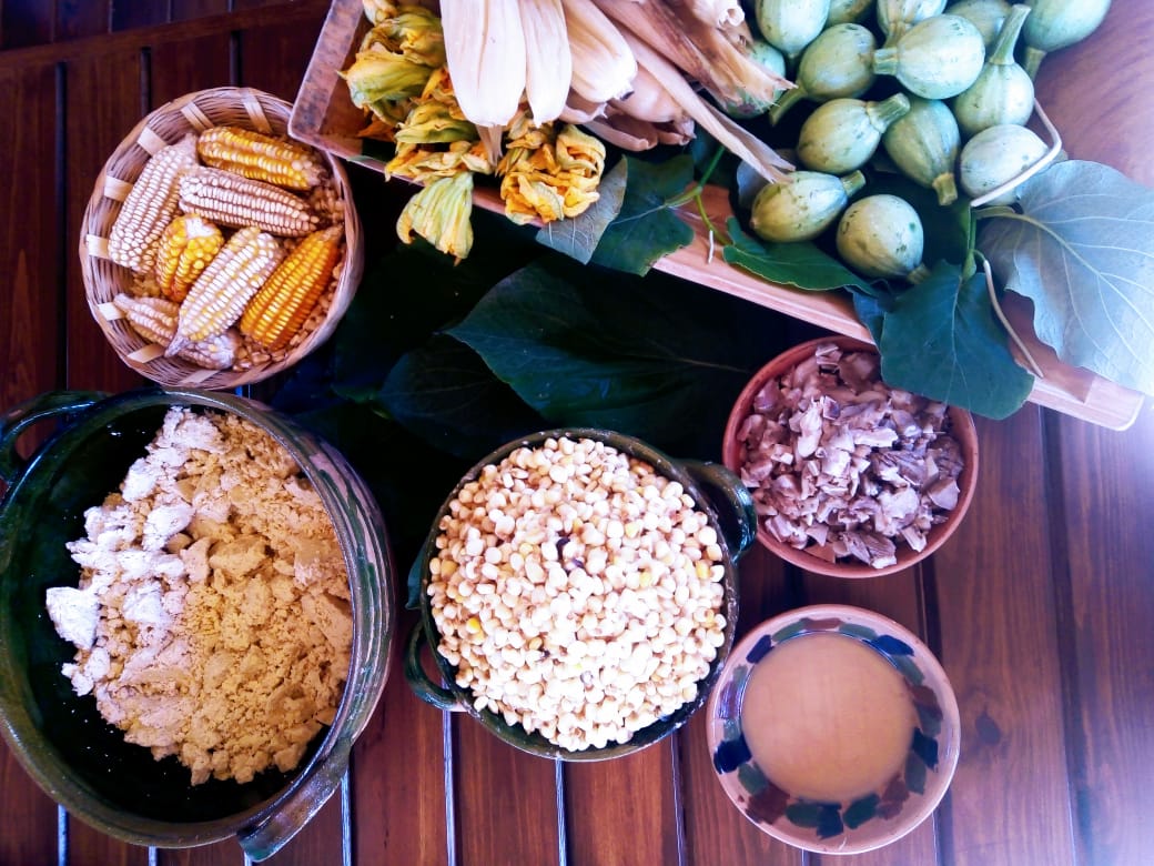 Cocineras tradicionales de Oaxaca comparten sus recetas de tamales, un  platillo de celebración 2 – Coordinación de Comunicación Social del  Gobierno del Estado