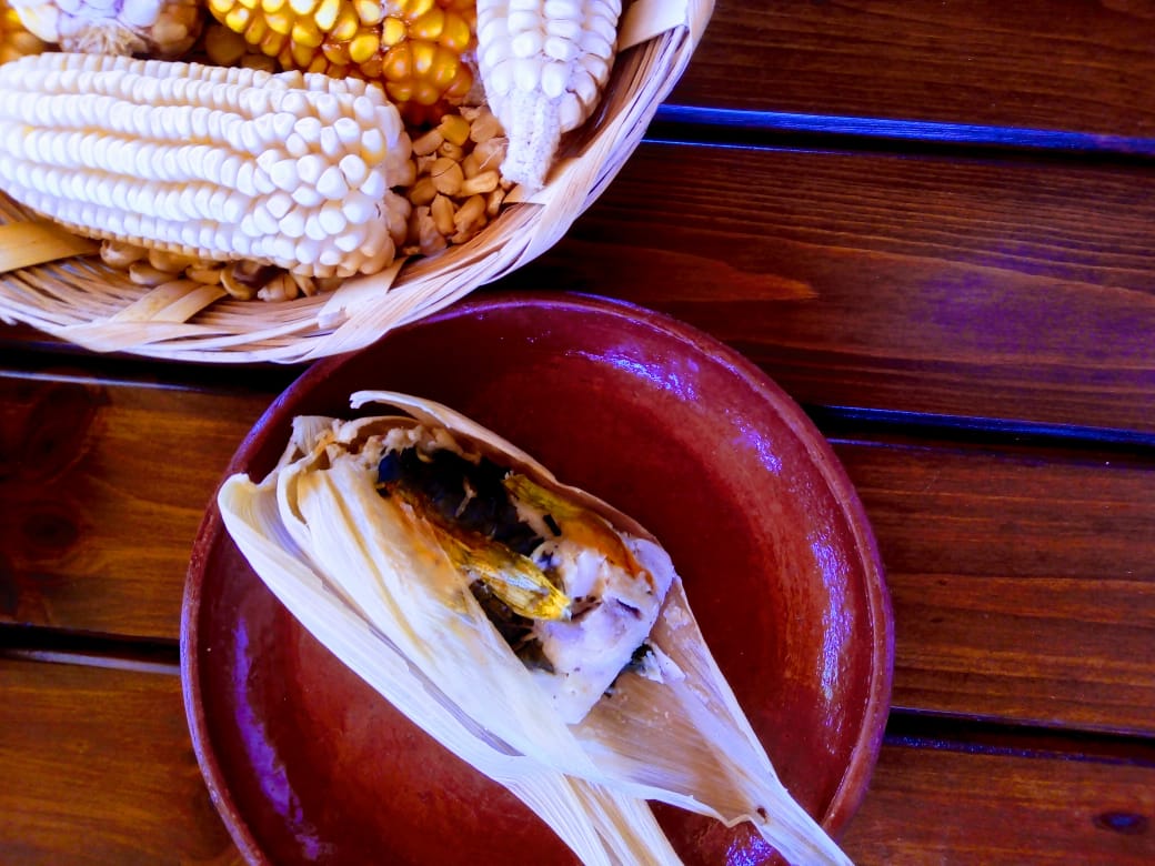 Cocineras tradicionales de Oaxaca comparten sus recetas de tamales, un  platillo de celebración 4 – Coordinación de Comunicación Social del  Gobierno del Estado